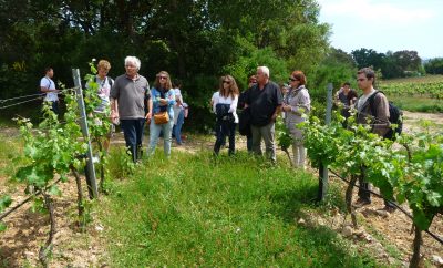 domaines-les-fouques-01