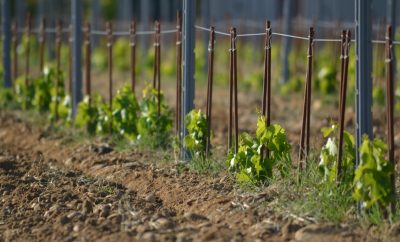 lycee-agricole-orange-chateau-mongin