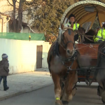 transport hippomobile