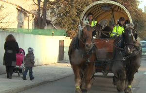 transport hippomobile