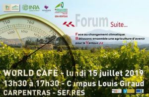 World Café agriculture et changements climatiques Carpentras